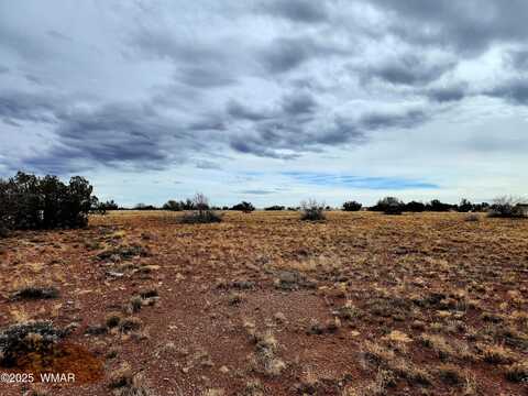 Lot 211 Dry Pasture Road, Heber, AZ 85928