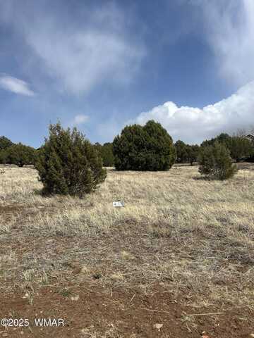 520 S Rockcreek Drive, Show Low, AZ 85901