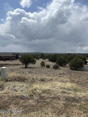620 S Rock Ridge Drive, Show Low, AZ 85901