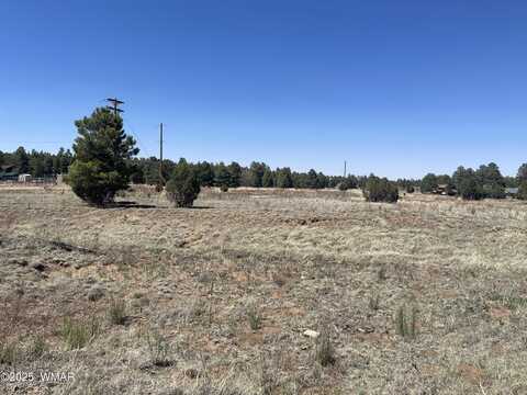 2278 Meadow Lane, Overgaard, AZ 85933