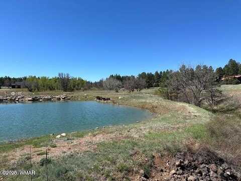 1301 Lakeside Trail, Show Low, AZ 85901