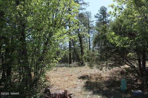 2450 W Whispering, Show Low, AZ 85901