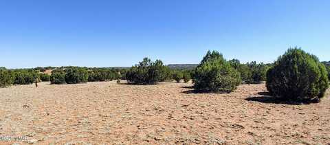9142 Texas Lane, Show Low, AZ 85901
