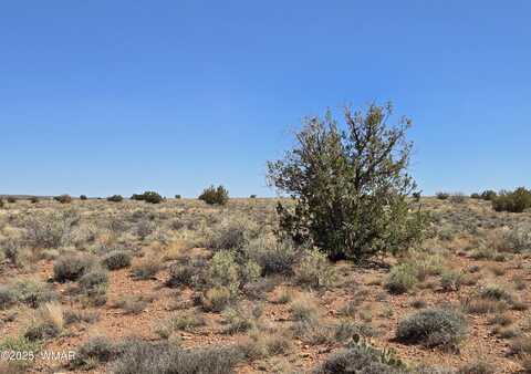 7761 & 7809 Miller Trail, Snowflake, AZ 85937