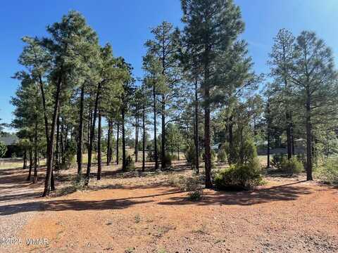 101 W Pine Haven Circle, Show Low, AZ 85901