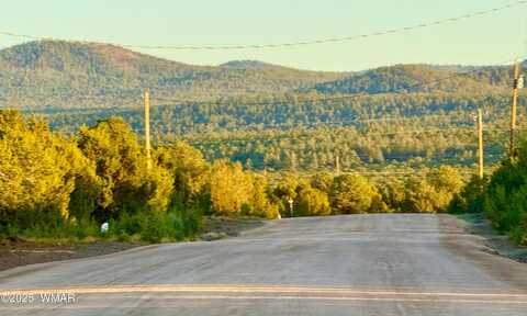 50 Winchester (3151) Boulevard, Vernon, AZ 85940