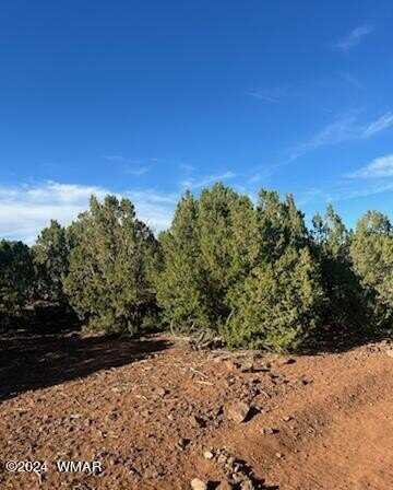 8776 Clark Road, Show Low, AZ 85901