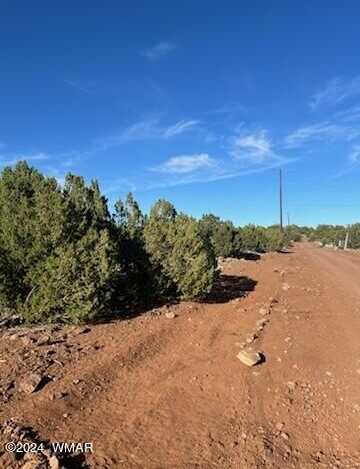 8766 Clark Road, Show Low, AZ 85901