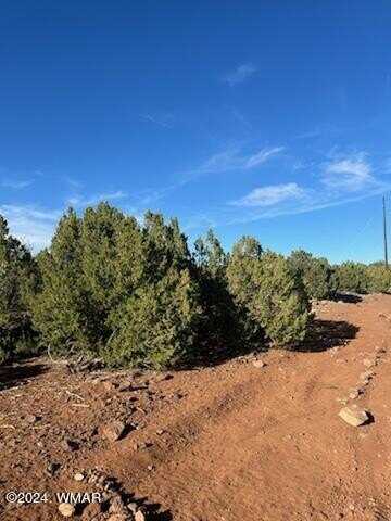 8766 Clark Road, Show Low, AZ 85901