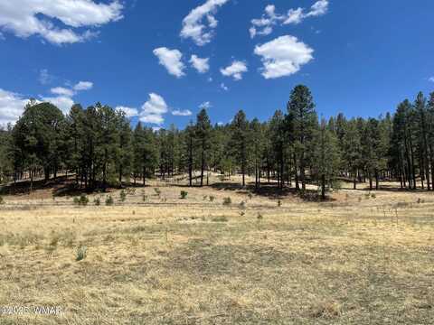 Tbd County Road N2275, Nutrioso, AZ 85932