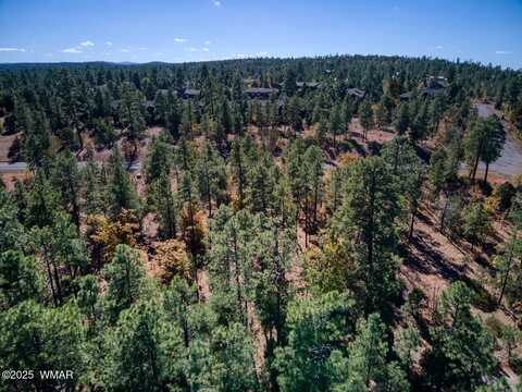 6994 Leo Lane, Lakeside, AZ 85929