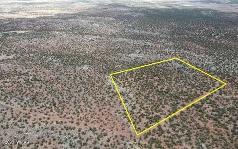 9133 Ridge View Lane, Snowflake, AZ 85937