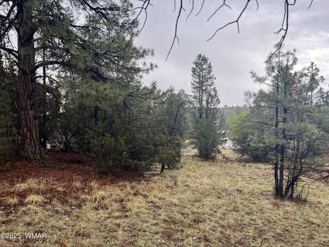 1907 Pine Top Drive, Overgaard, AZ 85928