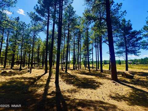 9578 Sierra Springs Drive, Pinetop, AZ 85935