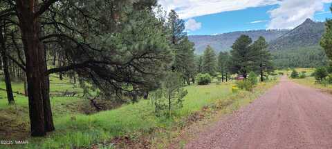 Cr N2276, Nutrioso, AZ 85932