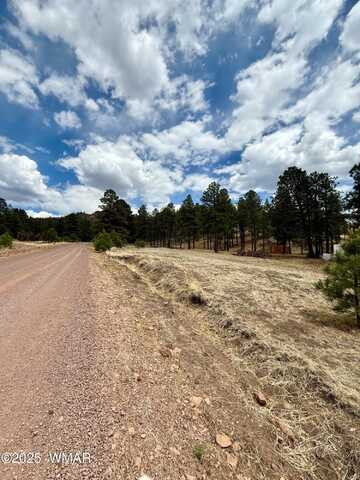 Cr N2276, Nutrioso, AZ 85932