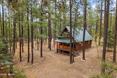 19 Hillcrest Drive, Alpine, AZ 85920