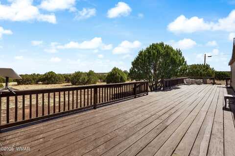 8527 Lyzniack Place, Show Low, AZ 85901
