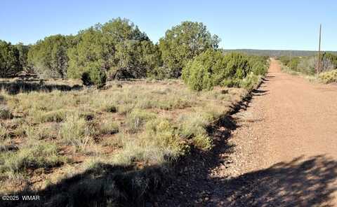 4427 E Pinto Road, Snowflake, AZ 85937