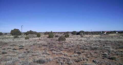 9658 E Concho Highway, Snowflake, AZ 85937