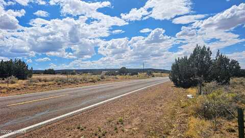 9658 E Concho Highway, Snowflake, AZ 85937