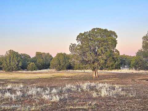 1606 Echo Court, Show Low, AZ 85901