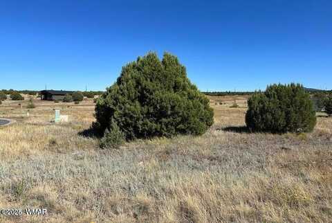 1161 S Lorenzo Sitgreaves Drive, Show Low, AZ 85901