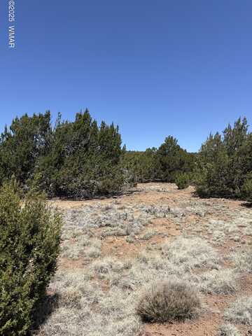 82 CR 8065, Concho, AZ 85924