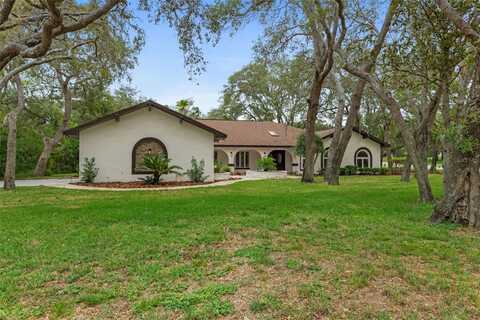 4595 LAKE IN THE WOODS DRIVE, SPRING HILL, FL 34607
