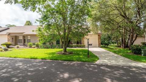6620 BRAMBLELEAF DRIVE, SPRING HILL, FL 34606