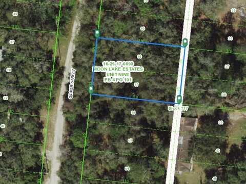 000 GILMER STREET, NEW PORT RICHEY, FL 34654