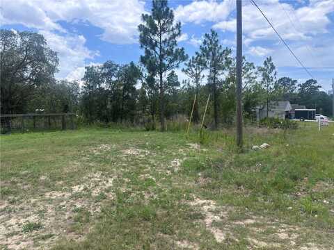 NUSSER AVENUE, WEEKI WACHEE, FL 34613