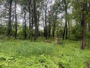 Lots 89 And 90 Laurel Summit Road, Jenner Twp, PA 15531