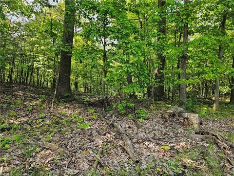Lot D Eau Claire Road, Venango, PA 16020