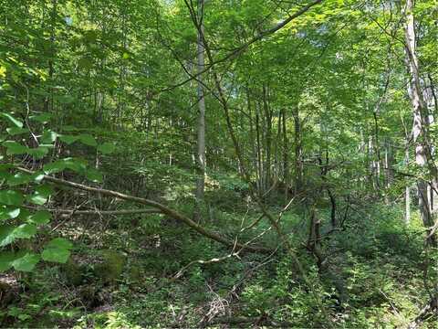 000 Fowl Hill Rd, Slate Lick, PA 15462
