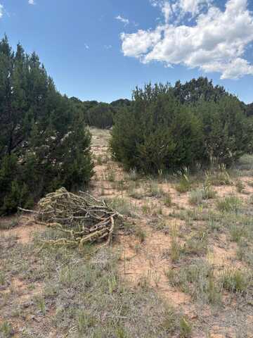 Wilson Ranch Lot#8, Tajique, NM 87016
