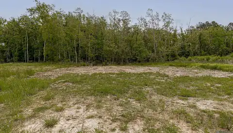 Lot 5-e Texas St, Livingston, LA 70754