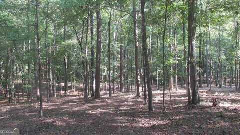 1470 Snug Harbor, Greensboro, GA 30642