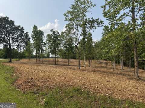 Lot 2 Happy Hollow Rd, Roopville, GA 30170