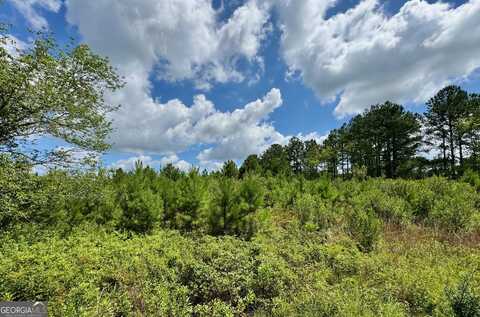 697 Benjamin H Hill, Fitzgerald, GA 31750