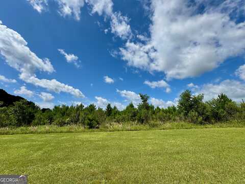 0 Irwinville, Fitzgerald, GA 31750