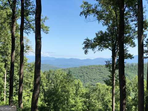 245 Smokerise, Ellijay, GA 30536
