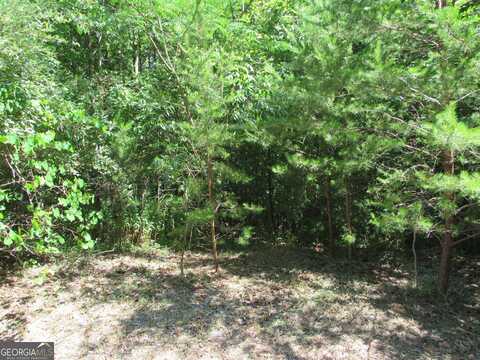 0 Flat Branch, Ellijay, GA 30540