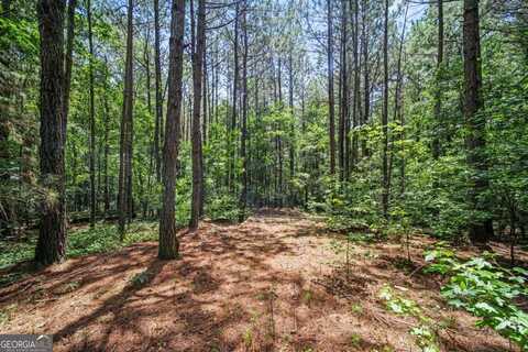Lot 3 Lord, Commerce, GA 30530