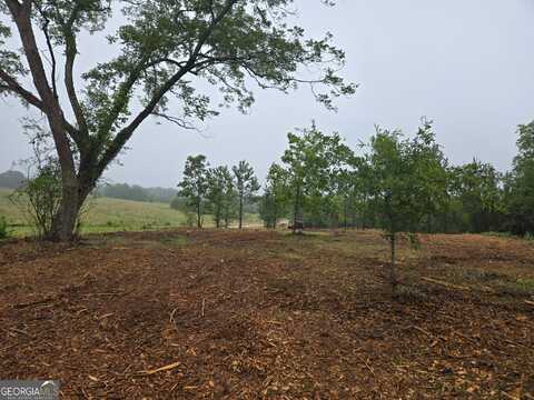 Lot 3 Coweta Heard, Hogansville, GA 30230