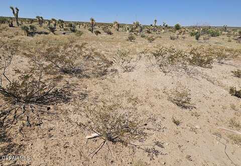36 SEC 5 PSL SIERRA PRIETO #67 LOT 7, Sierra Blanca, TX 79851