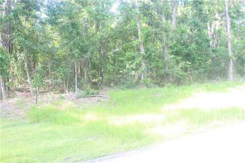 2976 Ardoch Road, Townsend, GA 31331