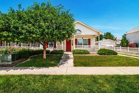 1229 Windsor Park Drive, Fruita, CO 81521