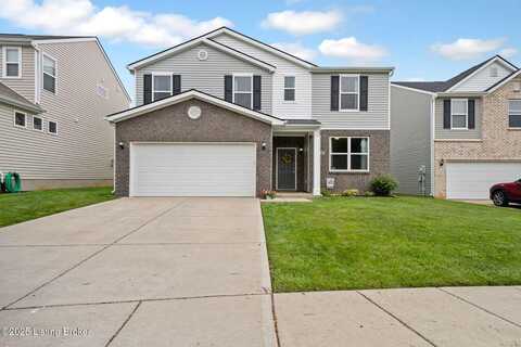 11717 Chandler Ct, Louisville, KY 40299