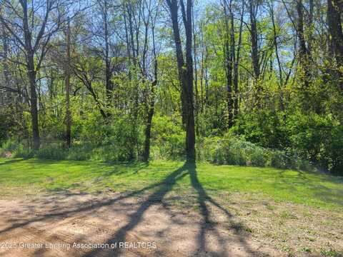 V/L Spaulding Court, Bellevue, MI 49021